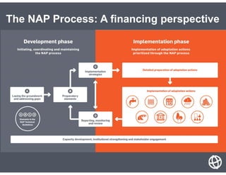 The NAP Process: A financing perspective
 