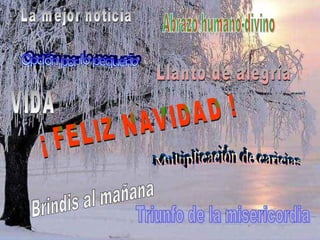 La mejor noticia Abrazo humano-divino Multiplicación de caricias Brindis al mañana Triunfo de la misericordia Opción por lo pequeño Llanto de alegría VIDA ¡ FELIZ NAVIDAD ! 