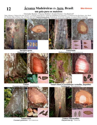 12                                Árvores Madeireiras do Acre, Brasil:                                                                         WEB VERSION
                                                           um guia para os mateiros
                                     Christopher Baraloto1, Francisco Walthier2, Evandro Ferreira3, Cara Rockwell4
1
  Dept. of Botany, e 4 School of For. Res. & Cons., U. of Florida, Gainesville, FL; 2Centro dos Trabalhadores da Amazonia, e 3U. Federal do Acre, Rio Branco, Acre, Brasil.
© C. Baraloto, Dept. of Botany, Univ. of Florida, 32611 USA (baraloto@botany.ufl.edu). Produzido por: R. B. Foster, S. Kaplan, com apoio de Moore Foundation.
© Environmental & Conservation Programs, The Field Museum, Chicago, IL 60605 USA. [www.fmnh.org/plantguides][RRC@fmnh.org] Rapid Color Guide #187 versão 2




                              Sucupira preta                                                                           Tamarinda
                         Diplotropis sp. FABACEAE                                                        Dialium guianense CAESALPINIACEAE




                                    Tauari                                               Tauari churu (Corrimboque vermelho, Jaquitibá)
                Couratari macrosperma LECYTHIDACEAE                                                          Cariniana sp. LECYTHIDACEAE




                                Tauari roxo                                                                     Violeta (Macacaúba)
                  Couratari guianensis LECYTHIDACEAE                                                          Platymiscium sp. FABACEAE
 