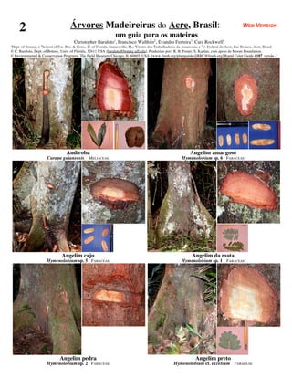 2                                Árvores Madeireiras do Acre, Brasil:                                                                           WEB VERSION
                                                                   um guia para os mateiros
                                        Christopher Baraloto1, Francisco Walthier2, Evandro Ferreira3, Cara Rockwell4
1
  Dept. of Botany, e 4 School of For. Res. & Cons., U. of Florida, Gainesville, FL; 2Centro dos Trabalhadores da Amazonia, e 3U. Federal do Acre, Rio Branco, Acre, Brasil.
© C. Baraloto, Dept. of Botany, Univ. of Florida, 32611 USA (baraloto@botany.ufl.edu). Produzido por: R. B. Foster, S. Kaplan, com apoio de Moore Foundation.
© Environmental & Conservation Programs, The Field Museum, Chicago, IL 60605 USA. [www.fmnh.org/plantguides][RRC@fmnh.org] Rapid Color Guide #187 versão 2




                                   Andiroba                                                                        Angelim amargoso
                       Carapa guianensis MELIACEAE                                                           Hymenolobium sp. 6 FABACEAE




                                Angelim caju                                                                        Angelim da mata
                       Hymenolobium sp. 5 FABACEAE                                                           Hymenolobium sp. 1 FABACEAE




                               Angelim pedra                                                                          Angelim preto
                       Hymenolobium sp. 2 FABACEAE                                                      Hymenolobium cf. excelsum FABACEAE
 