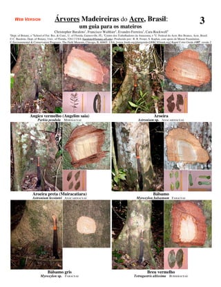 WEB VERSION                      Árvores Madeireiras do Acre, Brasil:                                                                                    3
                                                         um guia para os mateiros
                                     Christopher Baraloto1, Francisco Walthier2, Evandro Ferreira3, Cara Rockwell4
1
Dept. of Botany, e School of For. Res. & Cons., U. of Florida, Gainesville, FL; 2Centro dos Trabalhadores da Amazonia, e 3U. Federal do Acre, Rio Branco, Acre, Brasil.
                  4

© C. Baraloto, Dept. of Botany, Univ. of Florida, 32611 USA (baraloto@botany.ufl.edu). Produzido por: R. B. Foster, S. Kaplan, com apoio de Moore Foundation.
© Environmental & Conservation Programs, The Field Museum, Chicago, IL 60605 USA. [www.fmnh.org/plantguides][RRC@fmnh.org] Rapid Color Guide #187 versão 2




                Angico vermelho (Angelim saia)                                                                         Aroeira
                       Parkia pendula MIMOSACEAE                                                          Astronium sp. A NACARDIACEAE




                  Aroeira preta (Muiracatiara)                                                                        Bálsamo
                  Astronium lecointei A NACARDIACEAE                                                     Myroxylon balsamum FABACEAE




                               Bálsamo gris                                                                      Breu vermelho
                         Myroxylon sp. FABACEAE                                                        Tetragastris altissima BURSERACEAE
 