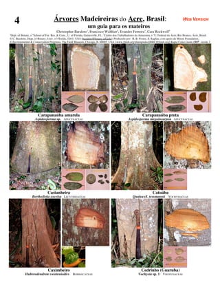 4                                Árvores Madeireiras do Acre, Brasil:                                                                          WEB VERSION
                                                                  um guia para os mateiros
                                       Christopher Baraloto1, Francisco Walthier2, Evandro Ferreira3, Cara Rockwell4
1
  Dept. of Botany, e 4 School of For. Res. & Cons., U. of Florida, Gainesville, FL; 2Centro dos Trabalhadores da Amazonia, e 3U. Federal do Acre, Rio Branco, Acre, Brasil.
© C. Baraloto, Dept. of Botany, Univ. of Florida, 32611 USA (baraloto@botany.ufl.edu). Produzido por: R. B. Foster, S. Kaplan, com apoio de Moore Foundation.
© Environmental & Conservation Programs, The Field Museum, Chicago, IL 60605 USA. [www.fmnh.org/plantguides][RRC@fmnh.org] Rapid Color Guide #187 versão 2




                        Carapanaúba amarela                                                                      Carapanaúba preta
                     Aspidosperma sp. APOCYNACEAE                                                    Aspidosperma megalocarpon APOCYNACEAE




                                Castanheira                                                                              Catuába
                   Bertholletia excelsa LECYTHIDACEAE                                                   Qualea cf. tessmannii VOCHYSIACEAE




                                Caximbeiro                                                                      Cedrinho (Guaruba)
             Huberodendron swietenioides             BOMBACACEAE                                             Vochysia sp. 1 VOCHYSIACEAE
 