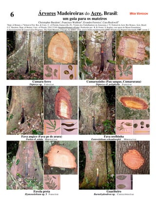 6                                Árvores Madeireiras do Acre, Brasil:                                                                          WEB VERSION
                                                                   um guia para os mateiros
                                     Christopher Baraloto1, Francisco Walthier2, Evandro Ferreira3, Cara Rockwell4
1
  Dept. of Botany, e 4 School of For. Res. & Cons., U. of Florida, Gainesville, FL; 2Centro dos Trabalhadores da Amazonia, e 3U. Federal do Acre, Rio Branco, Acre, Brasil.
© C. Baraloto, Dept. of Botany, Univ. of Florida, 32611 USA (baraloto@botany.ufl.edu). Produzido por: R. B. Foster, S. Kaplan, com apoio de Moore Foundation.
© Environmental & Conservation Programs, The Field Museum, Chicago, IL 60605 USA. [www.fmnh.org/plantguides][RRC@fmnh.org] Rapid Color Guide #187 versão 2




                              Cumaru ferro                                                     Cumaruzinho (Pau sangue, Cumarurana)
                           Dipteryx sp. FABACEAE                                                           Dipteryx cf. polyphylla FABACEAE




                 Fava angico (Fava pe de arara)                                                                     Fava orelhinha
                       Parkia cf. nitida MIMOSACEAE                                                  Enterolobium schomburgkii              MIMOSACEAE




                                Favela preta                                                                           Guaribeiro
                     Hymenolobium sp. 3 FABACEAE                                                        Barnebydendron sp. CAESALPINIACEAE
 
