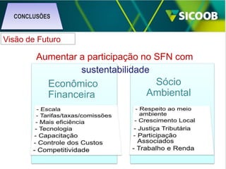 CONCLUSÕES

Visão de Futuro

Aumentar a participação no SFN com
sustentabilidade

Econômico
Financeira

Sócio
Ambiental

 
