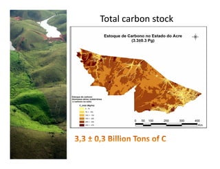 Acre State System of Incentives for Environmental Services 