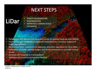 Acre State System of Incentives for Environmental Services 