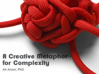 A Creative Metaphor
for Complexity
Ali Anani, PhD
 