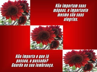 Não importam suas mágoas, o importante mesmo são suas alegrias. Não importa o que já passou, o passado?  Guarde na sua lembrança. 