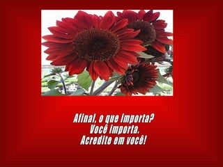 Afinal, o que importa? Você importa. Acredite em você! 