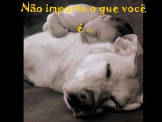 Não importa o que você  é .. 