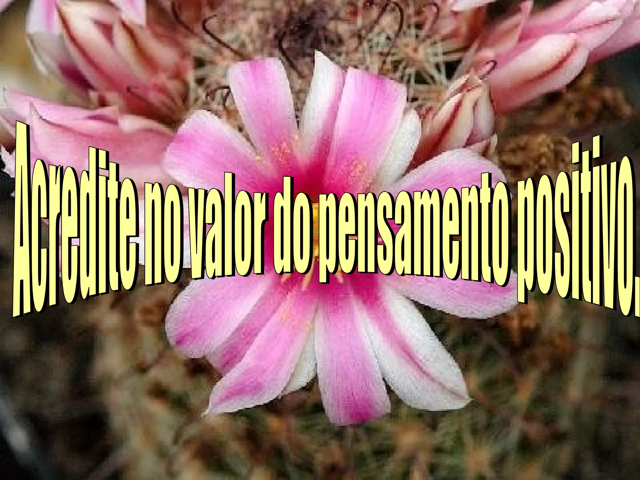 Acredite no valor do pensamento positivo.