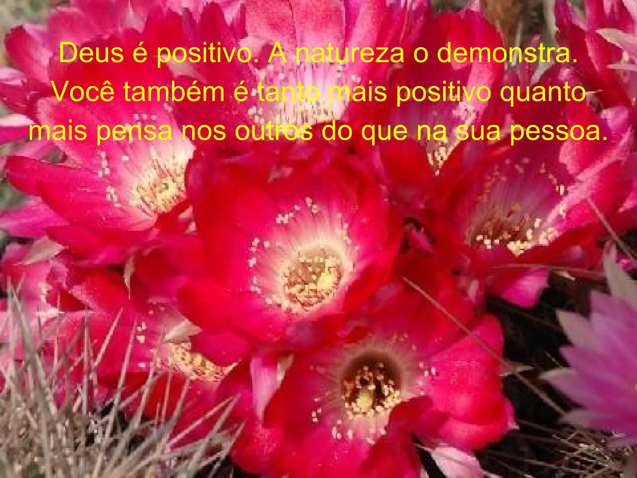 Deus é positivo. A natureza o demonstra. Você também é tanto mais positivo quanto mais pensa nos outros do que na sua pessoa.