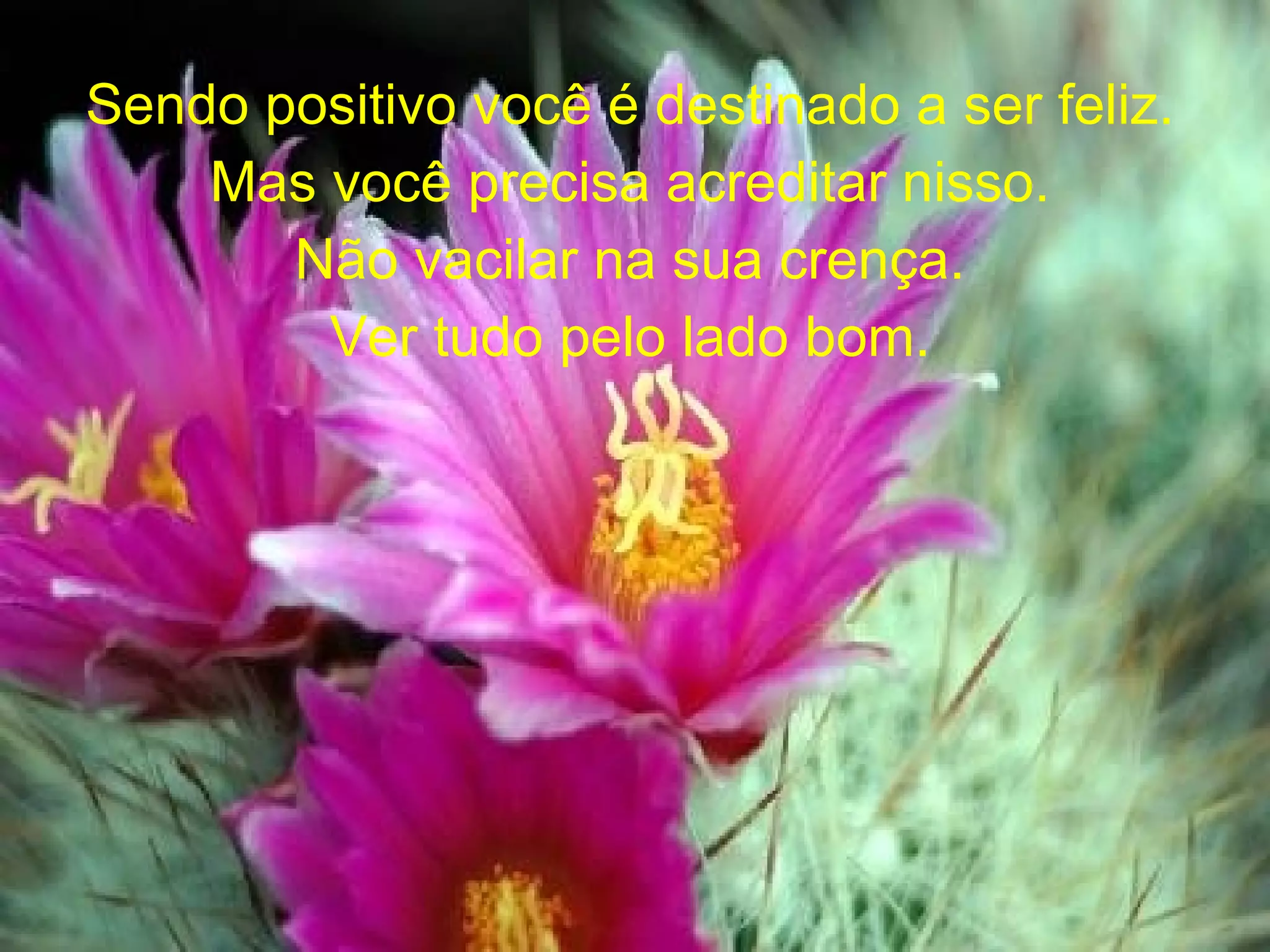 Sendo positivo você é destinado a ser feliz. Mas você precisa acreditar nisso. Não vacilar na sua crença. Ver tudo pelo lado bom.