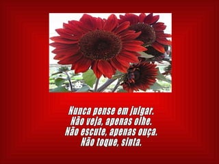 Nunca pense em julgar. Não veja, apenas olhe. Não escute, apenas ouça. Não toque, sinta. 