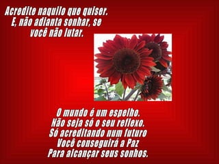 Acredite naquilo que quiser. E, não adianta sonhar, se você não lutar. O mundo é um espelho. Não seja só o seu reflexo. Só acreditando num futuro Você conseguirá a Paz Para alcançar seus sonhos. 