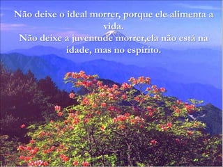 Não deixe o ideal morrer, porque ele alimenta a
vida.
Não deixe a juventude morrer,ela não está na
idade, mas no espírito.