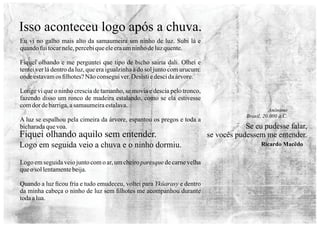 Eu vi no galho mais alto da samaumeira um ninho de luz. Subi lá e
quandofuitocarnele,percebiqueeleeraumninhodeluzquente.
Fiquei olhando e me perguntei que tipo de bicho sairia dali. Olhei e
tentei ver lá dentro da luz, que era igualzinha à do sol junto com urucum:
ondeestavamos ﬁlhotes?Nãoconseguiver.Desistiedescidaárvore.
Longe vi que o ninho crescia de tamanho, se movia e descia pelo tronco,
fazendo disso um ronco de madeira estalando, como se ela estivesse
comdor debarriga,asamaumeiraestalava.
A luz se espalhou pela cimeira da árvore, espantou os pregos e toda a
bicharadaquevoa.
Logo em seguida veio junto com o ar, um cheiro paresque de carne velha
queo sol lentamentebeija.
Quando a luz ﬁcou fria e tudo emudeceu, voltei para Ykûarasy e dentro
da minha cabeça o ninho de luz sem ﬁlhotes me acompanhou durante
todaalua.
Se eu pudesse falar,
se vocês pudessem me entender.
Anônimo
Brasil, 20.000 a.C.
Ricardo Macêdo
Isso aconteceu logo após a chuva.
Fiquei olhando aquilo sem entender.
Logo em seguida veio a chuva e o ninho dormiu.
 