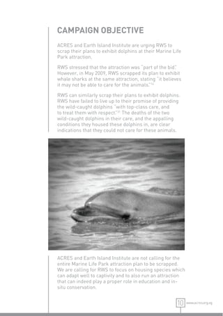 CAMPAIGN OBJECTIVE
ACRES and Earth Island Institute are urging RWS to
scrap their plans to exhibit dolphins at their Marine Life
Park attraction.

RWS stressed that the attraction was “part of the bid”.
However, in May 2009, RWS scrapped its plan to exhibit
whale sharks at the same attraction, stating “it believes
it may not be able to care for the animals. 14
                                          ”

RWS can similarly scrap their plans to exhibit dolphins.
RWS have failed to live up to their promise of providing
the wild-caught dolphins “with top-class care, and
to treat them with respect. 31 The deaths of the two
                           ”
wild-caught dolphins in their care, and the appalling
conditions they housed these dolphins in, are clear
indications that they could not care for these animals.




ACRES and Earth Island Institute are not calling for the
entire Marine Life Park attraction plan to be scrapped.
We are calling for RWS to focus on housing species which
can adapt well to captivity and to also run an attraction
that can indeed play a proper role in education and in-
situ conservation.


                                                       10    www.acres.org.sg
 