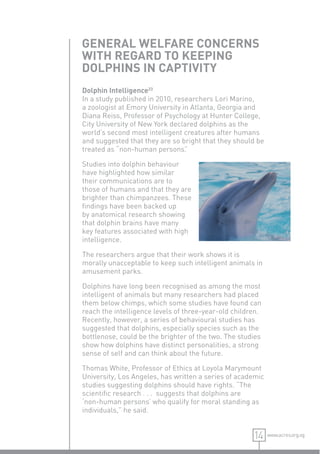 GENERAL WELFARE CONCERNS
WITH REGARD TO KEEPING
DOLPHINS IN CAPTIVITY
Dolphin Intelligence23
In a study published in 2010, researchers Lori Marino,
a zoologist at Emory University in Atlanta, Georgia and
Diana Reiss, Professor of Psychology at Hunter College,
City University of New York declared dolphins as the
world’s second most intelligent creatures after humans
and suggested that they are so bright that they should be
treated as “non-human persons”   .

Studies into dolphin behaviour
have highlighted how similar
their communications are to
those of humans and that they are
brighter than chimpanzees. These
ﬁndings have been backed up
by anatomical research showing
that dolphin brains have many
key features associated with high
intelligence.

The researchers argue that their work shows it is
morally unacceptable to keep such intelligent animals in
amusement parks.

Dolphins have long been recognised as among the most
intelligent of animals but many researchers had placed
them below chimps, which some studies have found can
reach the intelligence levels of three-year-old children.
Recently, however, a series of behavioural studies has
suggested that dolphins, especially species such as the
bottlenose, could be the brighter of the two. The studies
show how dolphins have distinct personalities, a strong
sense of self and can think about the future.

Thomas White, Professor of Ethics at Loyola Marymount
University, Los Angeles, has written a series of academic
studies suggesting dolphins should have rights. “The
scientiﬁc research . . . suggests that dolphins are
‘non-human persons’ who qualify for moral standing as
individuals,” he said.


                                                      14    www.acres.org.sg
 