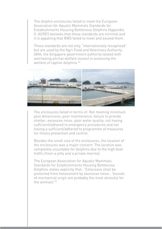The dolphin enclosures failed to meet the European
Association for Aquatic Mammals Standards for
Establishments Housing Bottlenose Dolphins (Appendix
I). ACRES believes that these standards are minimal and
it is appalling that RWS failed to meet and exceed them.

These standards are not only “internationally recognised”
but are used by the Agri-Food and Veterinary Authority
(AVA; the Singapore government authority tasked with
overseeing animal welfare issues) in assessing the
welfare of captive dolphins.34




The enclosures failed in terms of: Not meeting minimum
pool dimensions, poor maintenance, failure to provide
shelter, excessive noise, poor water quality, not having
sufﬁcient/adhered to emergency procedures and not
having a sufﬁcient/adhered to programme of measures
for illness prevention and control.

Besides the small size of the enclosures, the location of
the enclosures was a major concern. The location was
completely unsuitable for dolphins due to the high boat
trafﬁc (from a jetty and a private marina).

The European Association for Aquatic Mammals
Standards for Establishments Housing Bottlenose
Dolphins states explicitly that: “Cetaceans shall be
protected from harassment by excessive noise… Sounds
of mechanical origin are probably the most stressful for
the animals. 35
            ”
 