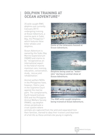 DOLPHIN TRAINING AT
OCEAN ADVENTURE41
25 wild-caught RWS
dolphins are currently
(January 2011)
undergoing training
at Ocean Adventure, a
marine park in Subic
Bay, the Philippines13
which features false
killer whales and
                           Some of the cetaceans housed at
dolphins.
                           Ocean Adventure.
Ocean Adventure is
owned by the Subic Bay
Marine Exploratorium
(SBME) and claims to
be “recognized as an
international expert
in the ﬁeld of marine
mammal care, training,
education, conservation,   Dolphins being used as “water-
study, rescue and          skis” during an animal show at
rehabilitation.
              ”            Ocean Adventure.
Animal welfare NGOs
in the Philippines have,
however, ﬁled a case
in the Supreme Court
against the marine
park. The complainants,
Earth Island Institute
(EII) and the Philippine
Animal Welfare Society        The RWS wild-caught dolphins
(PAWS), say dolphin           being trained at Ocean Adventure.
shows perpetuate a
cruel system where
animals are captured from the wild and separated from
their families, starved to obey their trainers and deprived
of a full life as these animals die young in captivity.




                                                      26 www.acres.org.sg
 