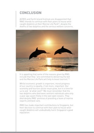 CONCLUSION
ACRES and Earth Island Institute are disappointed that
RWS intends to continue with their plans to house wild-
caught dolphins at their Marine Life Park44, despite the
deaths of two dolphins and the serious welfare concerns.




It is appalling that some of the reasons given by RWS
include that they “are committed to delivering the bid
and the Marine Life Park will help to boost tourism” 44
                                                    .

Whilst economic growth is important, moral progress
of our country is equally, if not more, important. Our
economy and tourism sector must grow, but it is time for
us to ask “at what cost?” We must remember that the
two dolphins who died were sentient individuals who only
a year ago swam freely in the vast open oceans. They
died despite RWS’ promise of providing a team of marine
experts and best care.

RWS has made important contributions to Singapore, but
their decision to continue with their plan to house wild-
caught dolphins will undoubtedly harm Singapore’s good
reputation.
 