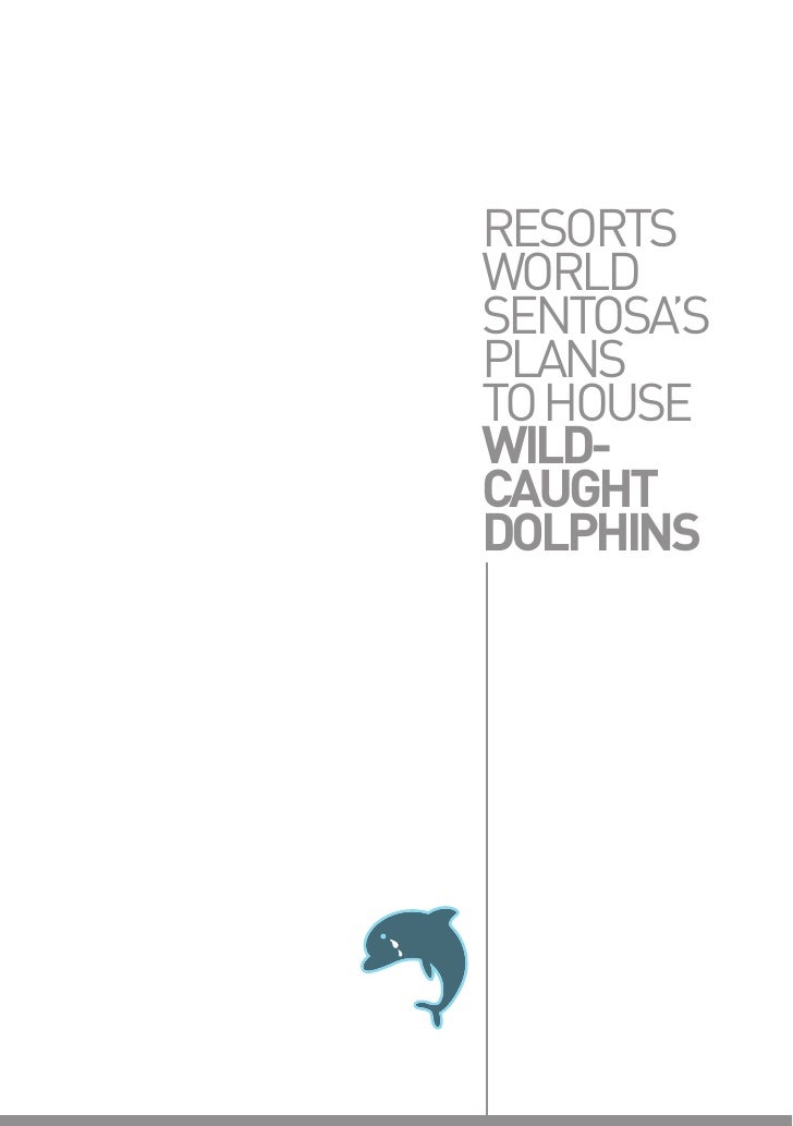 Resort World Sentosa Organisation Chart
