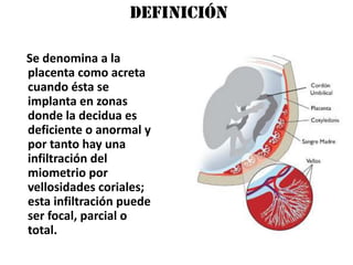 Definición

Se denomina a la
placenta como acreta
cuando ésta se
implanta en zonas
donde la decidua es
deficiente o anormal y
por tanto hay una
infiltración del
miometrio por
vellosidades coriales;
esta infiltración puede
ser focal, parcial o
total.
 