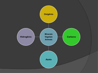 Oxigênio




             Minerais
Hidrogênio   Vegetais   Carbono
             Animais




              Azoto
 