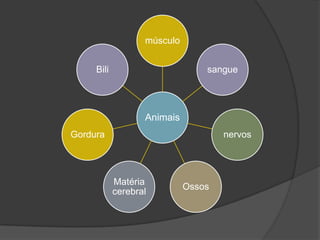 músculo


     Bili                        sangue




                   Animais
Gordura                              nervos




            Matéria
                             Ossos
            cerebral
 