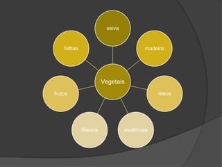 seiva


    folhas                            madeira




                      Vegetais
frutos                                     óleos




             Resina            essências
 