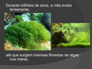 Durante milhões de anos, a vida evolui
  lentamente,




até que surgem imensas florestas de algas
  nos mares.
 