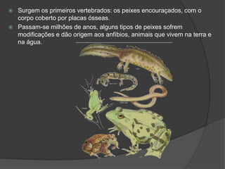    Surgem os primeiros vertebrados: os peixes encouraçados, com o
    corpo coberto por placas ósseas.
   Passam-se milhões de anos, alguns tipos de peixes sofrem
    modificações e dão origem aos anfíbios, animais que vivem na terra e
    na água.
 