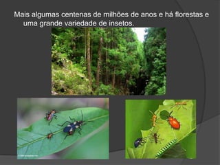 Mais algumas centenas de milhões de anos e há florestas e
  uma grande variedade de insetos.
 