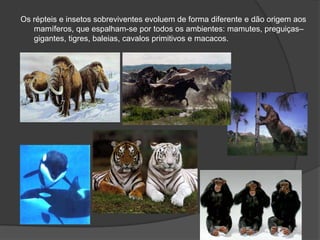 Os répteis e insetos sobreviventes evoluem de forma diferente e dão origem aos
   mamíferos, que espalham-se por todos os ambientes: mamutes, preguiças–
   gigantes, tigres, baleias, cavalos primitivos e macacos.
 