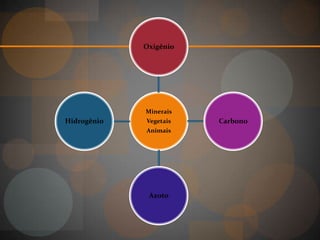 Oxigênio




             Minerais
Hidrogênio   Vegetais   Carbono
             Animais




              Azoto
 
