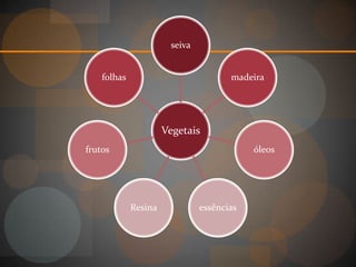 seiva


    folhas                            madeira




                      Vegetais
frutos                                     óleos




             Resina            essências
 