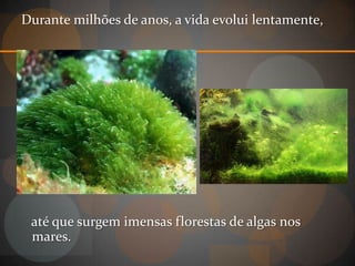 Durante milhões de anos, a vida evolui lentamente,




 até que surgem imensas florestas de algas nos
 mares.
 