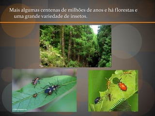 Mais algumas centenas de milhões de anos e há florestas e
 uma grande variedade de insetos.
 