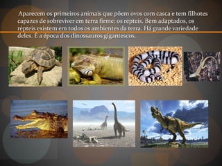 Aparecem os primeiros animais que põem ovos com casca e tem filhotes
capazes de sobreviver em terra firme: os répteis. Bem adaptados, os
répteis existem em todos os ambientes da terra. Há grande variedade
deles. É a época dos dinossauros gigantescos.
 