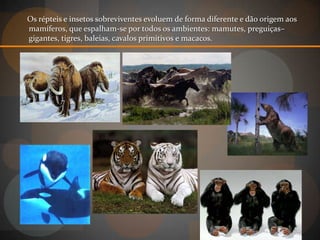 Os répteis e insetos sobreviventes evoluem de forma diferente e dão origem aos
mamíferos, que espalham-se por todos os ambientes: mamutes, preguiças–
gigantes, tigres, baleias, cavalos primitivos e macacos.
 