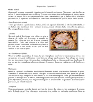 Meliponicultura, Página 16 de 21

Outros animais
O papa-mel, a raposa, o tamanduá, eles alcançam inclusive 60 centímetros. Eles puxam e até derrubam as
caixas. A aranha também é outro problema. Tem que estar sempre destruindo as casas de aranha, porque
às vezes as aranhas fazem as teias na entrada das caixas e todas as vezes que as abelhas saírem, elas ficam
presas na teia. A lagartixa é terrível também, elas comem todas as abelhas, podem acabar com o enxame.
Situação geral do enxame
Temos que observar a quantidade de abelhas, como está a postura da rainha, se está nascendo abelha, se
as abelhas estão trabalhando bem – entrando e saindo, se está entrando abelha com pólen nas patinhas.
Dar uma geral nesse enxame.
A rainha
No geral, tudo é direcionado pela rainha, ou seja, a
situação da rainha vai determinar a situação do
enxame. Se a rainha vai bem, via de regra, o enxame
bem também. Então você observa se a rainha está
presente, se está caminhando, se locomovendo bem, se
não está com as asas ruídas, se está com as duas
antenas, se tem todas as patas.

vai

Rainha de jataí

As células de cria (placas)
Observar também a quantidade de placas. Se tem cinco placas, tudo bem. Se tem menos de cinco, a não
ser que seja nova, está problemática e você tem que reforçar aquele enxame. Para reforçar um enxame
tem que ir em outras caixas e tira uma, duas ou três placas e botar na caixa que está fraca. Lembrando de
que tem que ter o cuidado de colocar as pilastras. Os enxames da mesma espécie, um pode fortalecer o
outro.
O alimento
Observar a presença de alimento. As abelhas se alimentam do mel, e as larvas se alimentam de pólen.
Então não há necessidade de ter mel na caixa para os ovos se desenvolverem, más pólen tem que ter.
Mesmo que eu traga uma placa de outra abelha, se não tiver entrando pólen é sinal que não há rainha em
postura. Se durar por mais de 30 dias, então não pode nascer as crias porque o alimento principal delas é o
pólen. Quem tem geladeira pode até guardar uns potes de pólen lacrados na geladeira. À medida que for
precisando, vai botando na caixa.
A limpeza
Uma das coisas que a gente faz durante a revisão é a limpeza das caixas. Aí tem a vantagem de ter uma
caixa de fundo móvel. Uma caixa que a gente possa tirar o ninho e a melgueira para limpar. Tanto as

 