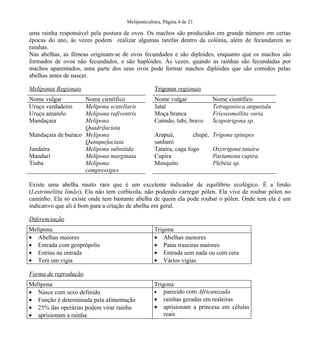 Meliponicultura, Página 4 de 21

uma rainha responsável pela postura de ovos. Os machos são produzidos em grande número em certas
épocas do ano, às vezes podem realizar algumas tarefas dentro da colônia, além de fecundarem as
rainhas.
Nas abelhas, as fêmeas originam-se de ovos fecundados e são diploides, enquanto que os machos são
formados de ovos não fecundados, e são haplóides. Às vezes, quando as rainhas são fecundadas por
machos aparentados, uma parte dos seus ovos pode formar machos diplóides que são comidos pelas
abelhas antes de nascer.
Melíponas Regionais

Trigonas regionais

Nome vulgar
Uruçu verdadeiro
Uruçu amarelo
Mandaçaia

Nome vulgar
Jataí
Moça branca
Canudo, tubi, bravo

Nome científico
Tetragonisca angustula
Frieseomellita varia
Scapotrigona sp.

Arapuá,
chupé,
sanharó
Tataíra, caga fogo
Cupira
Mosquito

Trigona spinipes

Nome científico
Melipona scutellaris
Melípona rufiventris
Melípona
Quadrifaciata
Mandaçaia de buraco Melípona
Quinquefaciata
Jandaíra
Melípona subnitida
Manduri
Melípona marginata
Tiuba
Melípona
compressipes

Oxytrigona tataíra
Partamona cupira
Plebéia sp.

Existe uma abelha muito rara que é um excelente indicador de equilíbrio ecológico. É a limão
(Lestrimelitta limão). Ela não tem corbícola, não podendo carregar pólen. Ela vive de roubar pólen no
caminho. Ela só existe onde tem bastante abelha de quem ela pode roubar o pólen. Onde tem ela é um
indicativo que ali é bom para a criação de abelha em geral.
Diferenciação
Melípona
• Abelhas maiores
• Entrada com geoprópolis
• Estrias na entrada
• Tem um vigia

Trigona
• Abelhas menores
• Patas traseiras maiores
• Entrada sem nada ou com cera
• Vários vigias

Forma de reprodução
Melípona
• Nasce com sexo definido
• Função é determinada pela alimentação
• 25% das operárias podem virar rainha
• aprisionam a rainha

Trigona
• parecido com Africanizada
• rainhas geradas em realeiras
• aprisionam a princesa em células
reais

 
