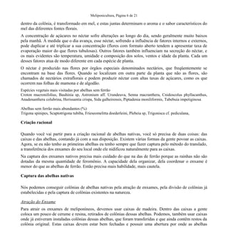 Meliponicultura, Página 6 de 21

dentro da colônia, é transformado em mel, e estas juntas determinam o aroma e o sabor característicos do
mel das diferentes fontes florais.
A concentração de açúcares no néctar sofre alterações ao longo do dia, sendo geralmente muito baixos
pela manhã. À medida que o dia avança, esse néctar, sofrendo a influência de fatores internos e externos,
pode duplicar e até triplicar a sua concentração (flores com formato aberto tendem a apresentar taxa de
evaporação maior do que flores tubulosas). Outros fatores também influenciam na secreção do néctar, e
os mais evidentes são temperatura, umidade e composição dos solos, ventos e idade da planta. Cada um
desses fatores atua de modo diferente em cada espécie de planta.
O néctar é produzido nas flores por órgãos especiais denominados nectários, que freqüentemente se
encontram na base das flores. Quando se localizam em outra parte da planta que não as flores, são
chamados de nectários extraflorais e podem produzir néctar com altas taxas de açúcares, como os que
ocorrem nas folhas de mamona e de algodão.
Espécies vegetais mais visitadas por abelhas sem ferrão
Croton mucronifolius, Bauhinia sp, Astronium aff. Urundeuva, Senna macranthera, Cnidoscolus phyllacanthus,
Anadenanthera colubrina, Herissantia crispa, Sida galheirensis, Piptadenia moniliformis, Tabebuia impetiginosa
Abelhas sem ferrão mais abundantes (%)
Trigona spinipes, Scaptotrigona tubiba, Frieseomelitta doederleini, Plebeia sp, Trigonisca cf. pediculana,

Criação racional
Quando você vai partir para a criação racional de abelhas nativas, você só precisa de duas coisas: das
caixas e das abelhas, contando já com a sua disposição. Existem várias formas da gente povoar as caixas.
Agora, se eu não tenho as primeiras abelhas eu tenho sempre que fazer captura pelo método do translado,
a transferência dos enxames do seu local onde ele nidificou naturalmente para as caixas.
Na captura dos enxames nativos precisa mais cuidado do que na das de ferrão porque as rainhas não são
dotadas da mesma quantidade de feromônio. A capacidade dela organizar, dela coordenar o enxame é
menor do que as abelhas de ferrão. Então precisa mais habilidade, mais cautela.
Captura das abelhas nativas
Nós podemos conseguir colônias de abelhas nativas pela atração de enxames, pela divisão de colônias já
estabelecidas e pela captura de colônias existentes na natureza.
Atração do Enxame
Para atrair os enxames de meliponíneos, devemos usar caixas de madeira. Dentro das caixas a gente
coloca um pouco de cerume e resina, retirados de colônias dessas abelhas. Podemos, também usar caixas
onde já estiveram instaladas colônias dessas abelhas, que foram transferidas e que ainda contêm restos da
colônia original. Estas caixas devem estar bem fechadas e possuir uma abertura por onde as abelhas

 