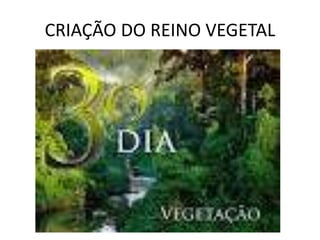 CRIAÇÃO DO REINO VEGETAL
 