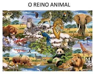 O REINO ANIMAL
 