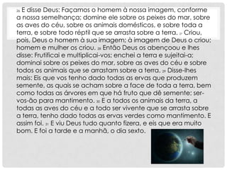 26E disse Deus: Façamos o homem à nossa imagem, conforme
a nossa semelhança; domine ele sobre os peixes do mar, sobre
as aves do céu, sobre os animais domésticos, e sobre toda a
terra, e sobre todo réptil que se arrasta sobre a terra. 27 Criou,
pois, Deus o homem à sua imagem; à imagem de Deus o criou;
homem e mulher os criou. 28 Então Deus os abençoou e lhes
disse: Frutificai e multiplicai-vos; enchei a terra e sujeitai-a;
dominai sobre os peixes do mar, sobre as aves do céu e sobre
todos os animais que se arrastam sobre a terra. 29 Disse-lhes
mais: Eis que vos tenho dado todas as ervas que produzem
semente, as quais se acham sobre a face de toda a terra, bem
como todas as árvores em que há fruto que dê semente; ser-
vos-ão para mantimento. 30 E a todos os animais da terra, a
todas as aves do céu e a todo ser vivente que se arrasta sobre
a terra, tenho dado todas as ervas verdes como mantimento. E
assim foi. 31 E viu Deus tudo quanto fizera, e eis que era muito
bom. E foi a tarde e a manhã, o dia sexto.
 