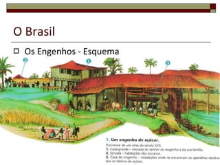 O Brasil Os Engenhos - Esquema 