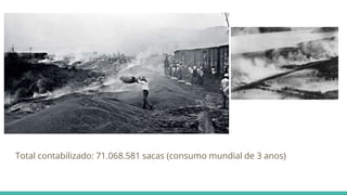 Total contabilizado: 71.068.581 sacas (consumo mundial de 3 anos)
 