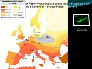 A Peste Negra propaga-se por toda a Europa de finais
de Setembro de 1348 aos inícios  de 1349.




                                          Yersinia pestis
                                         Ampliada 2000x
 